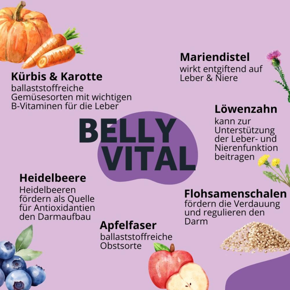 Topping BellyVital - Verdauung & Darmflora