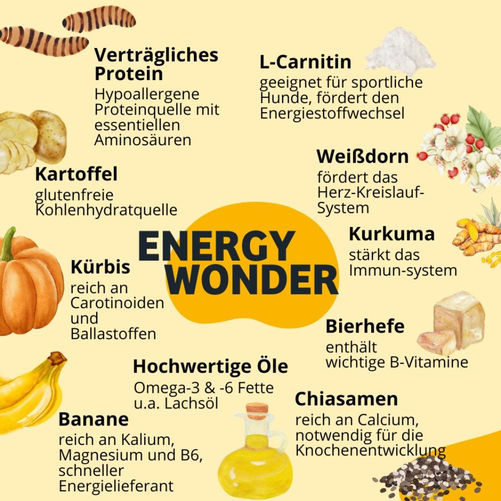 BugBell Energy Wonder liefert verträgliches Protein aus Soldatenfliegenlarven, glutenfreie Energie aus Kartoffeln und Kürbis sowie L-Carnitin für sportliche Hunde. Bananen und hochwertige Öle versorgen mit Vitalstoffen, während Weißdorn das Herz stärkt und Kurkuma das Immunsystem unterstützt. Ideal für aktive Hunde.